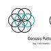 RAPPORTO VESICA
